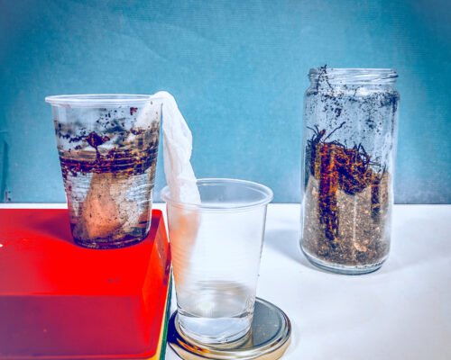 Talleres escolares Ciclo del agua