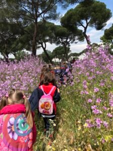 Un grupo escolar visita la Dehesa De la Villa en Madrid para descubrir los secretos de la primavera con Aula Activa Más Natura