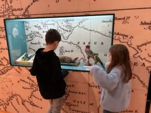 excursiones escolares museo de ciencias naturales