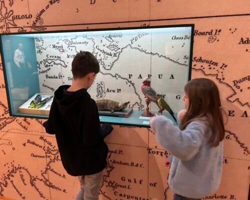 Visitas escolares al Museo de Ciencias Naturales