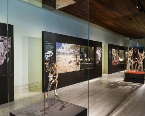 Visita escolar al Museo Arqueológico Nacional