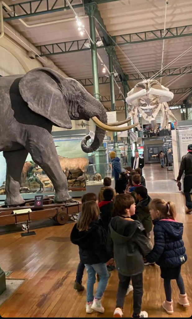 Visitas guiadas Museo de Ciencias Madrid