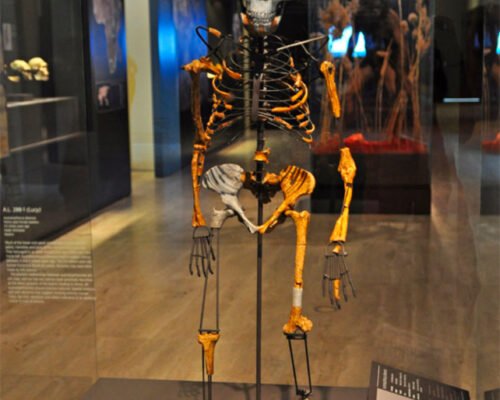 Visitas escolares guiadas museos Madrid