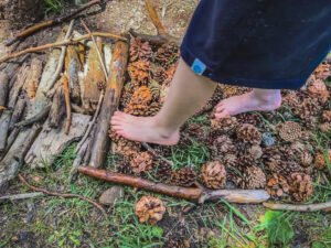 Caminando sobre un circuito sensorial en una de nuestras excursiones a Cercedilla con Aula Activa Más Naturacreado por los propios alumnos en una excursión por Cercedilla con Aula Activa Más Natura